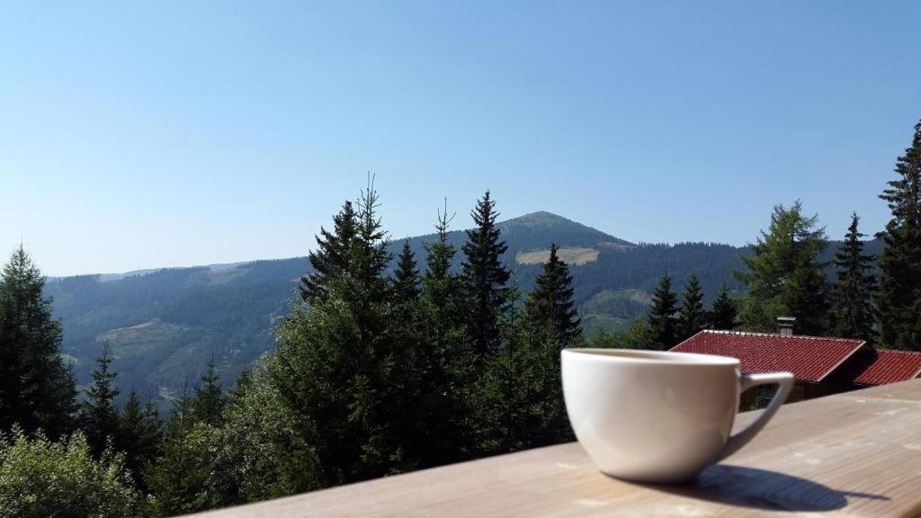 Appartamento Almzeit Klippitz Klippitztorl Esterno foto